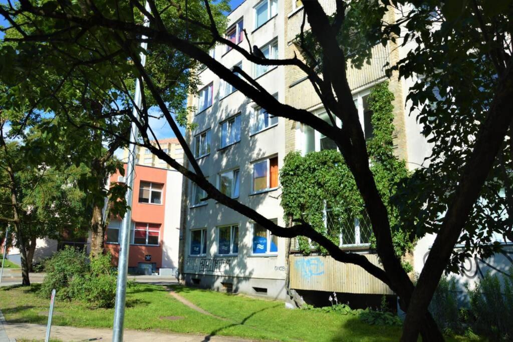 Slucko Central Studio Apartment Near River Vilnius Exterior photo